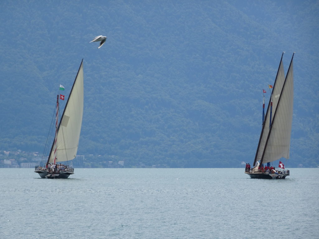 DSC06648